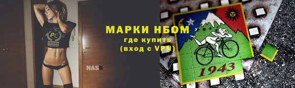 прущий лед Вяземский