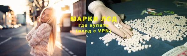 стафф Вязьма