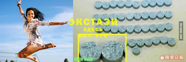 прущий лед Вяземский