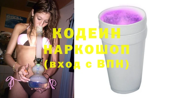 стафф Вязьма