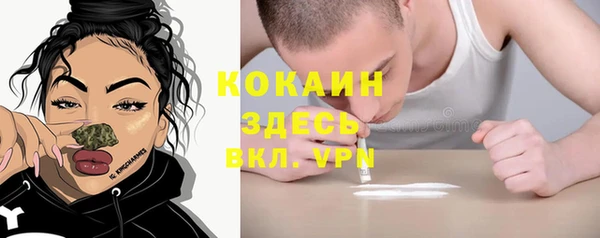 стафф Вязьма