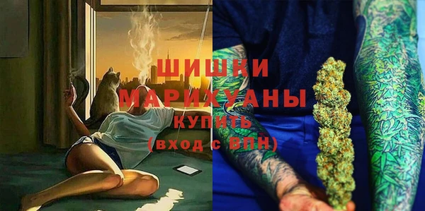 прущий лед Вяземский