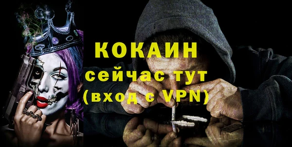 прущий лед Вяземский