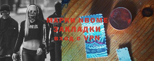 стафф Вязьма
