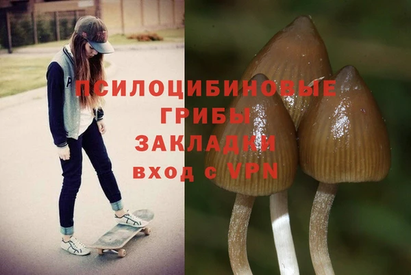 стафф Вязьма