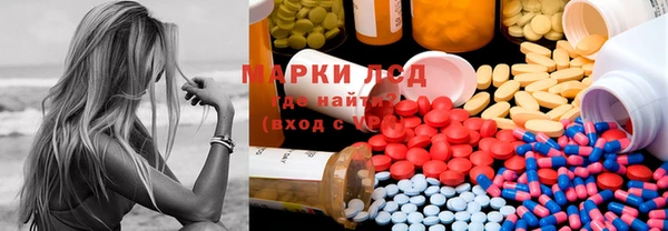 прущий лед Вяземский