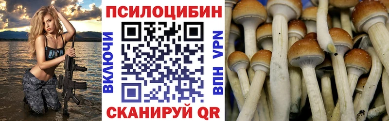 Псилоцибиновые грибы Psilocybine cubensis  Купить закладки  Макарьев 